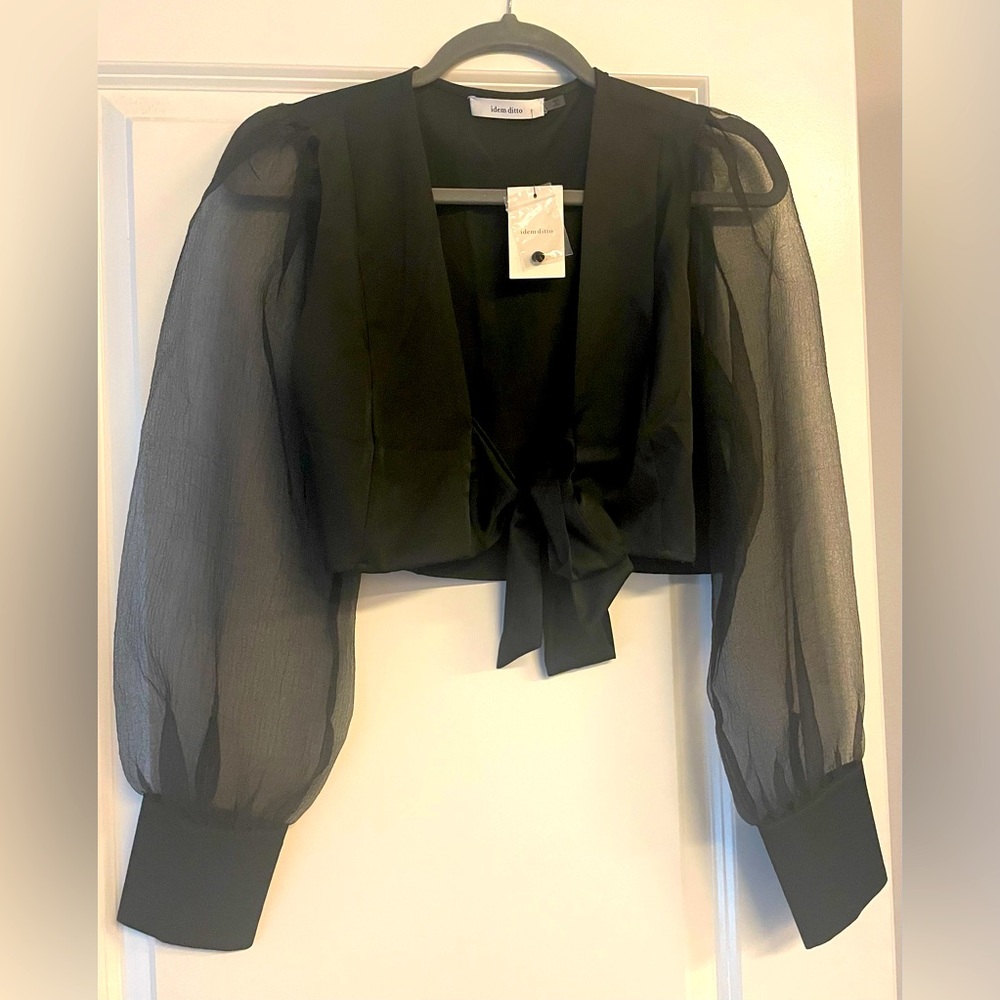 NWT, sheer sleeves crop top